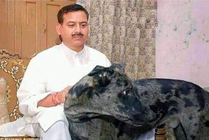 Krishnanand Rai murder case Mukhtar Ansari could not digest Afzal political defeat,