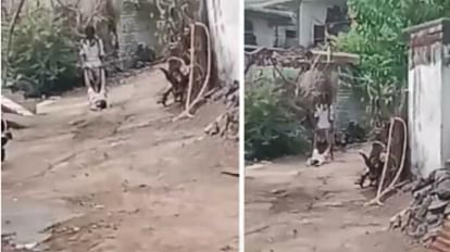 Khargone: बूढ़े पिता को पत्थर मारकर उतारा मौत के घाट, लाश को घसीटते हुए लाया घर Khargone: Old father stoned to death, dragged the dead body home