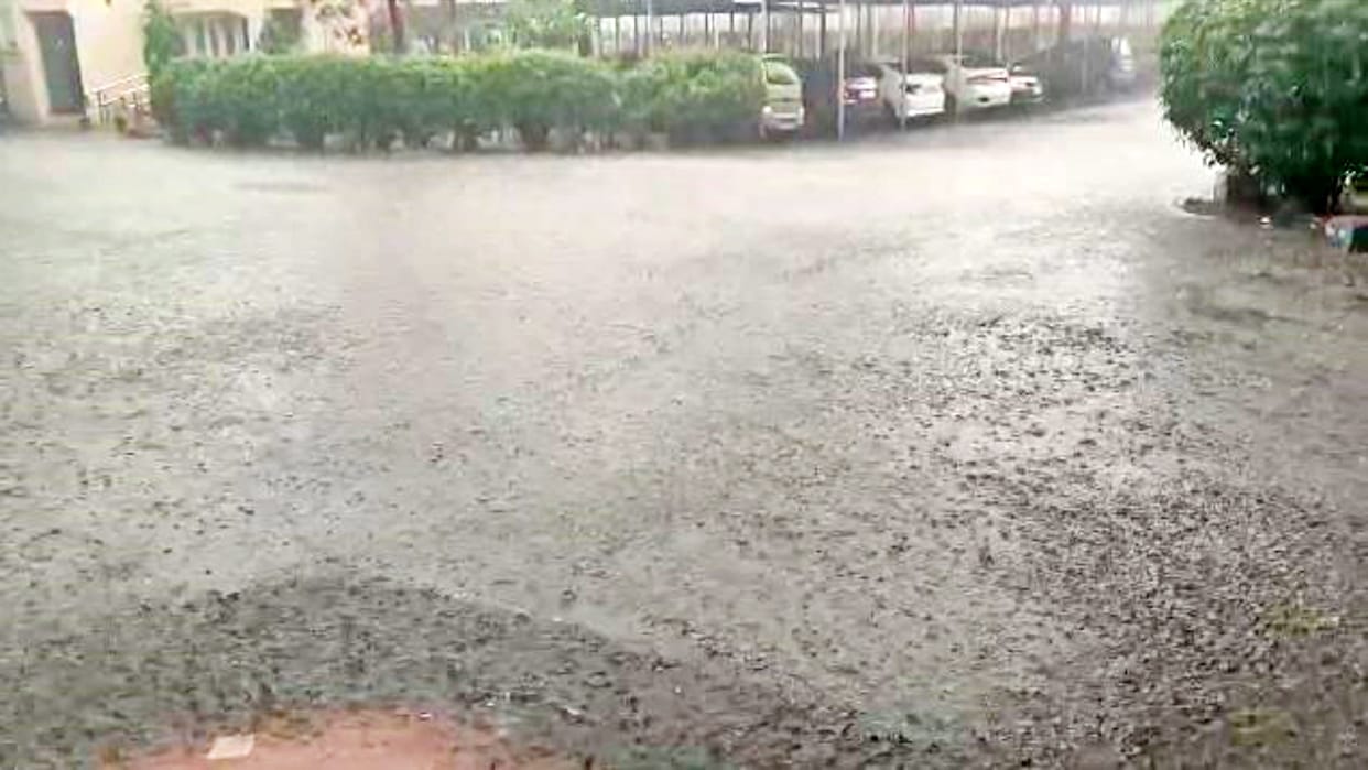 Rajasthan weather: Rain alert in 21 districts of the state