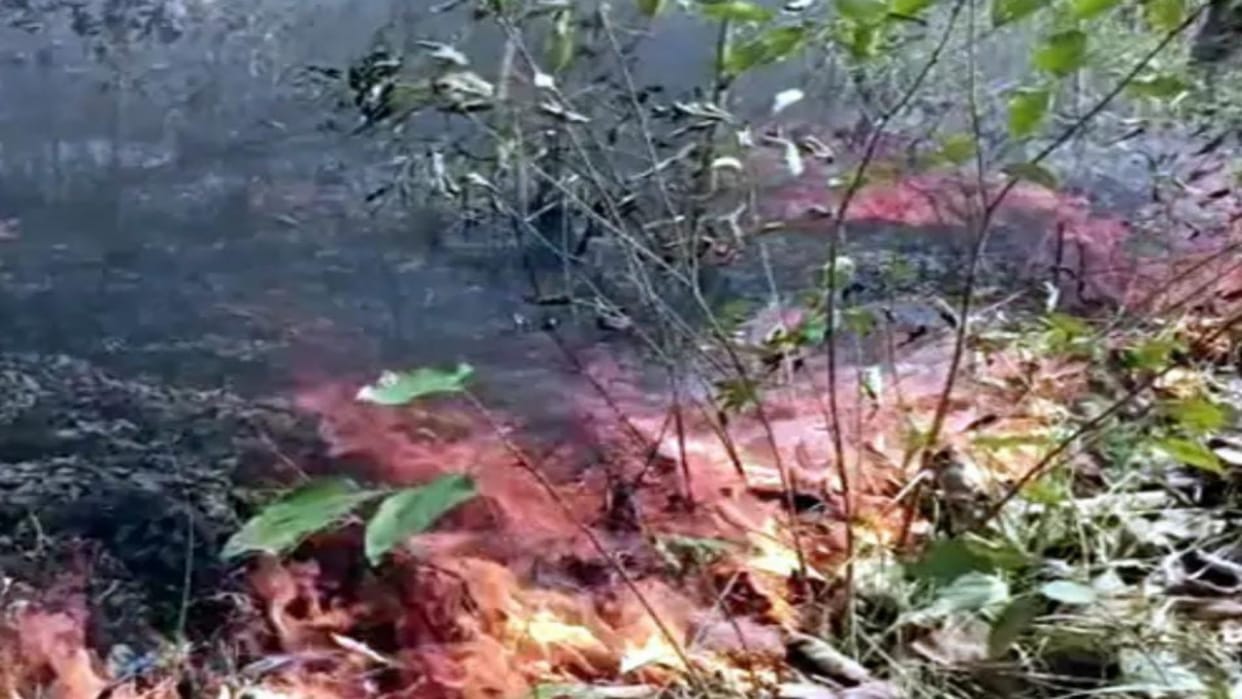 VTR forest caught Fire in West Champaran, panic among wild animals, fire department engaged in controlling it