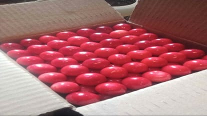 Illegal collection of five rupees on every box of cherry in Azadpur mandi