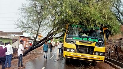 A tree fell on a passenger bus parked to go to the procession a major accident was averted