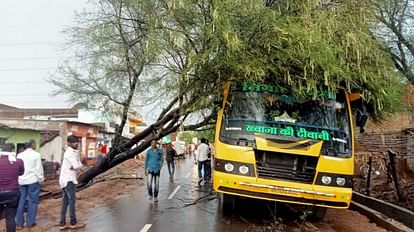 Damoh: बरात में जाने के लिए खड़ी यात्री बस पर गिरा पेड़, वाहन खाली होने से बड़ा हादसा टला, रास्ते में लगा जाम A tree fell on a passenger bus parked to go to the procession a major accident was averted
