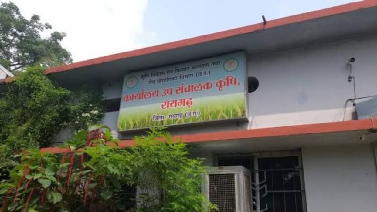 hybrid maize seed scam in dmf in chhattisgarh raigarh