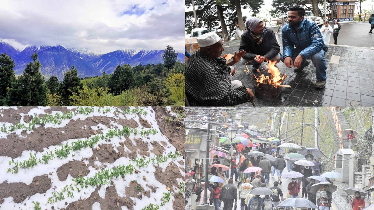 Himachal weather: Snowfall on the peaks of Kullu, Lahaul and Bharmour, cloudy in Shimla and Manali