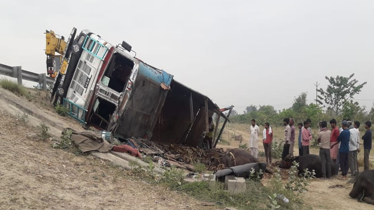 Kannauj: Uncontrolled truck fell down the expressway, four cattle killed, nine injured