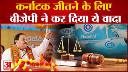 Karnataka Election 2023:what is in bjp vision document for karnataka