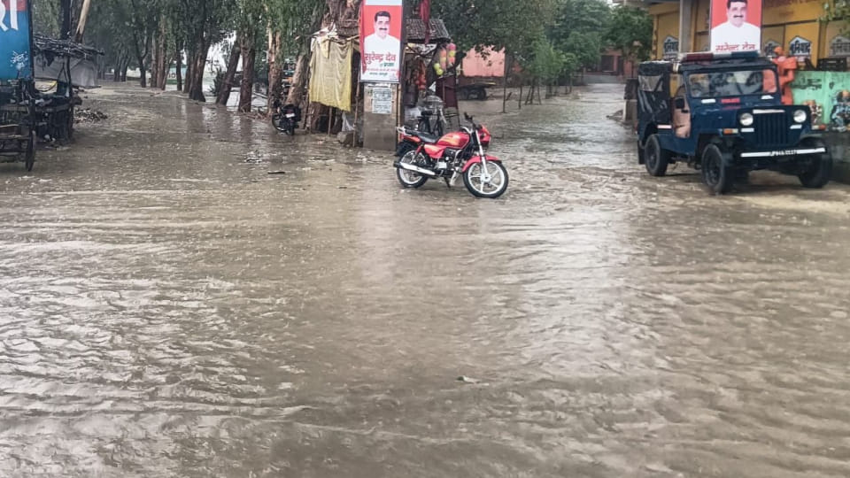 Wheat crop got wet due to heavy rains in Mainpuri farmers are worried