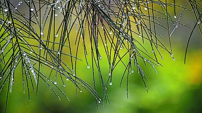 Weather Report: मई की शुरुआत में फरवरी की ठंड का अहसास, टूटा 15 साल का रिकॉर्ड Weather Report: Continuous rain for two days brought relief from heat, breaking the record of 15 years