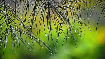 Weather Report: Continuous rain for two days brought relief from heat, breaking the record of 15 years