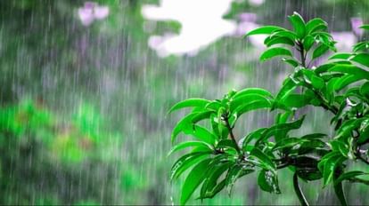 Weather Update: Heavy rain expected in these states till May 20, how will be the weather next five days?