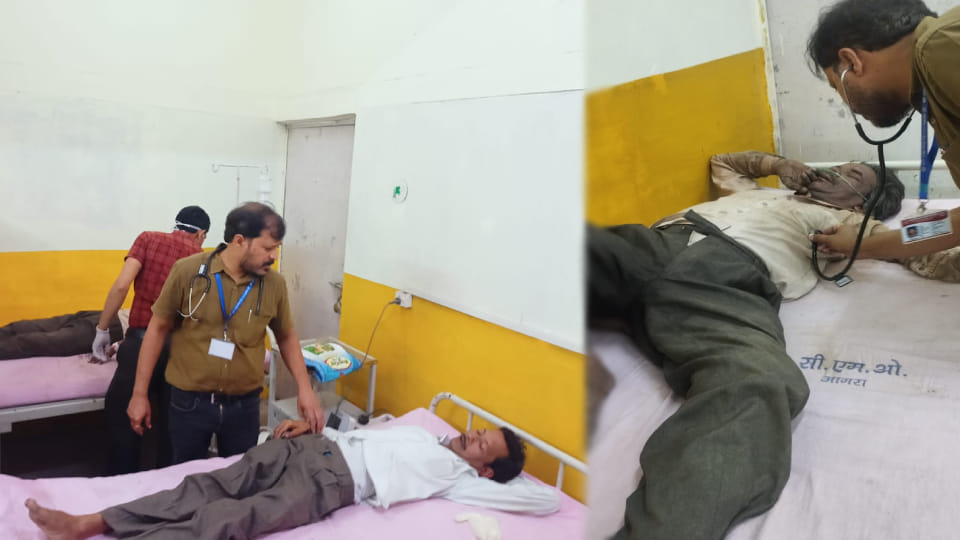 half dozen people got injured in bees attack During Kalash Yatra of Rudra Mahayagya in Agra