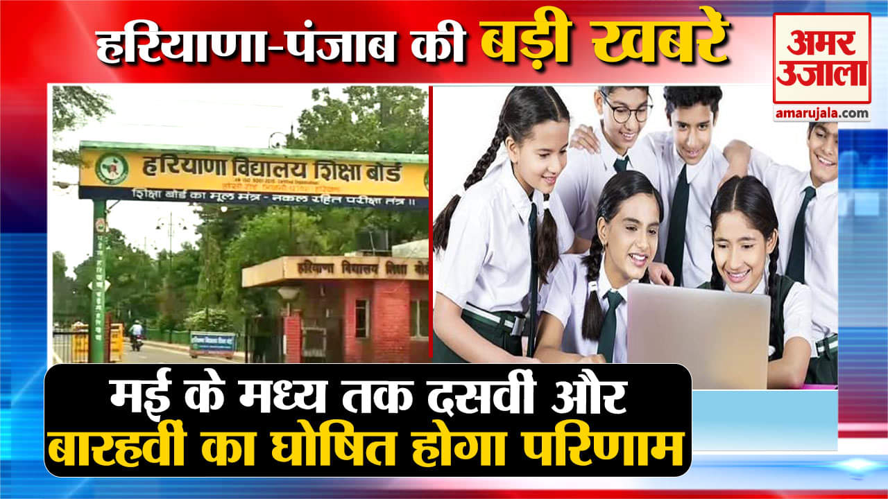 हरियाणा न्यूज