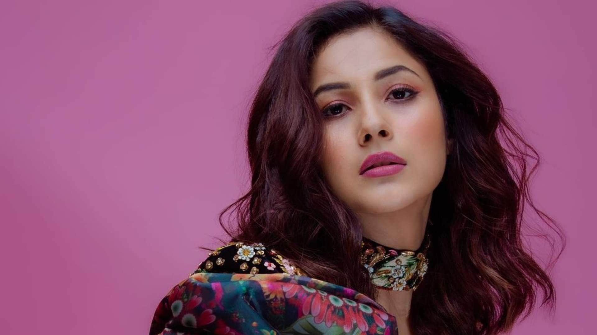 Shehnaaz Gill bollywood debut with kisi ka bhai kisi ki jaan buys a new house fans congratulates the actress