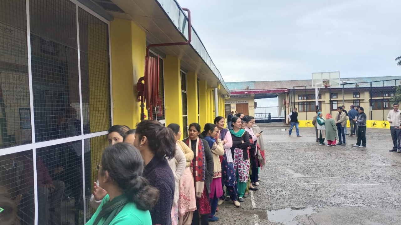 MC Shimla Election latest update: Enthusiasm for voting from youth to elders, see photos