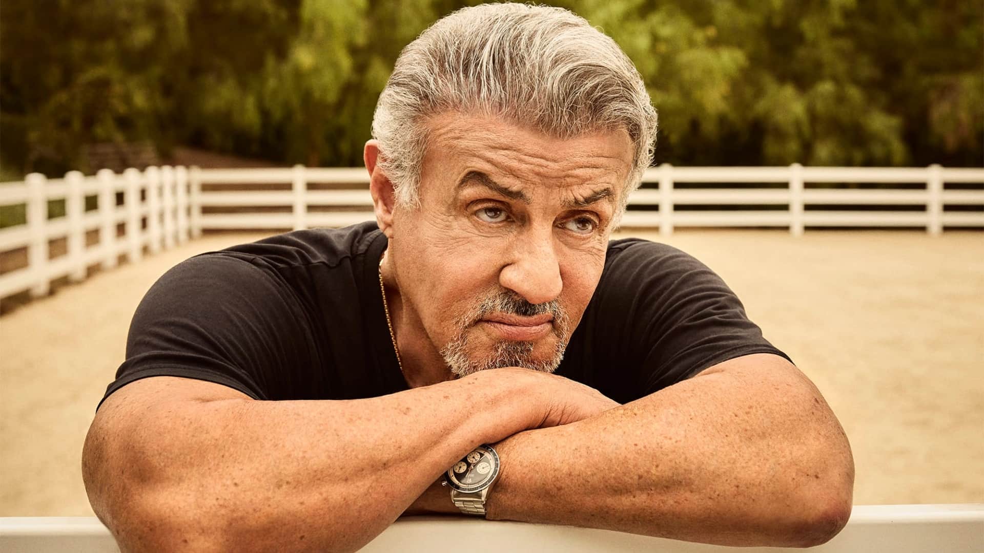 Sylvester Stallone returns with Cliffhanger sequel Know the detail story here