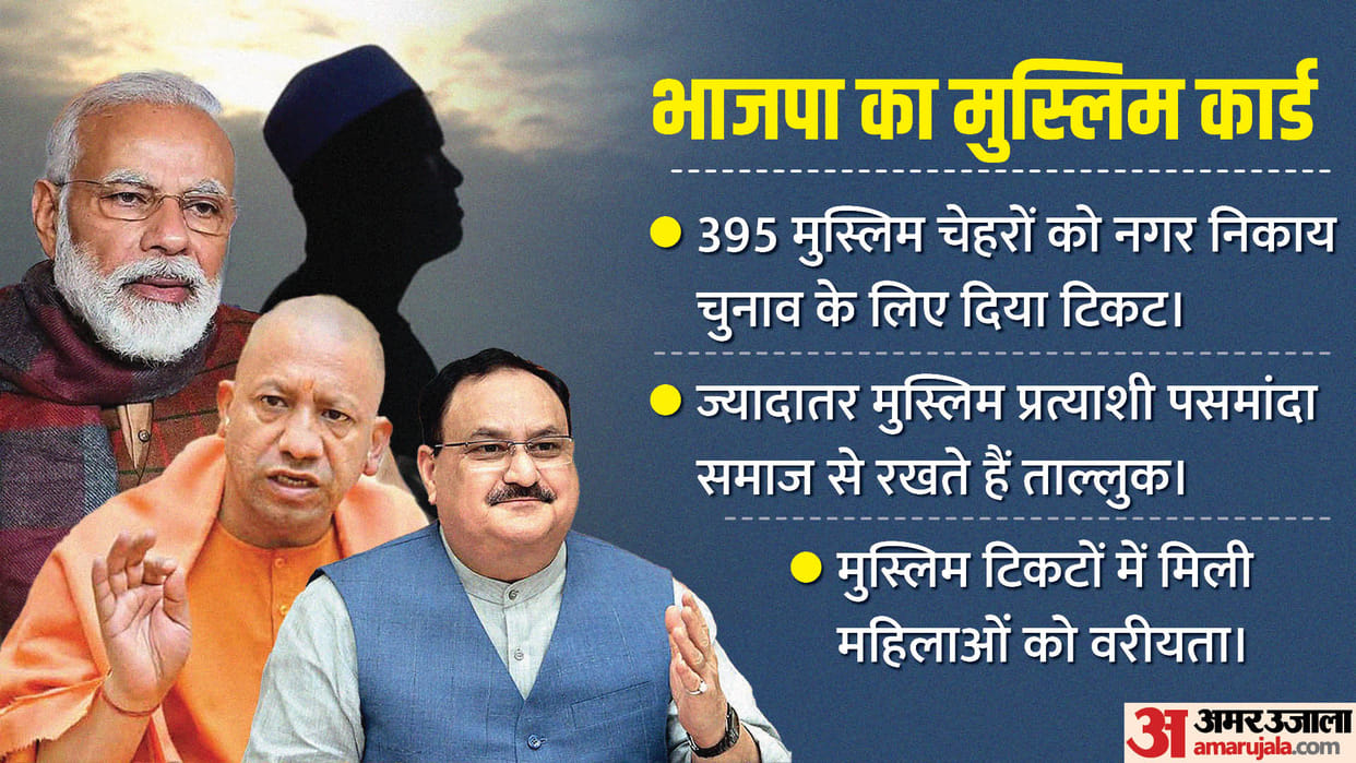 UP Nagar Nikay Chunav: How useful will 'Muslim ticket' be for BJP in civic elections? know political equation