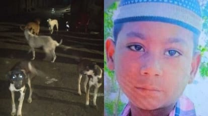 stray dogs killed ten year old boy in bareilly