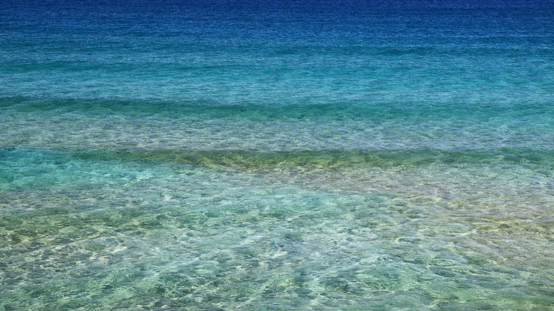 Blue Hole Found in Mexico Alien Life in 900 Feet Deep Second Largest Blue Hole Facts in Hindi