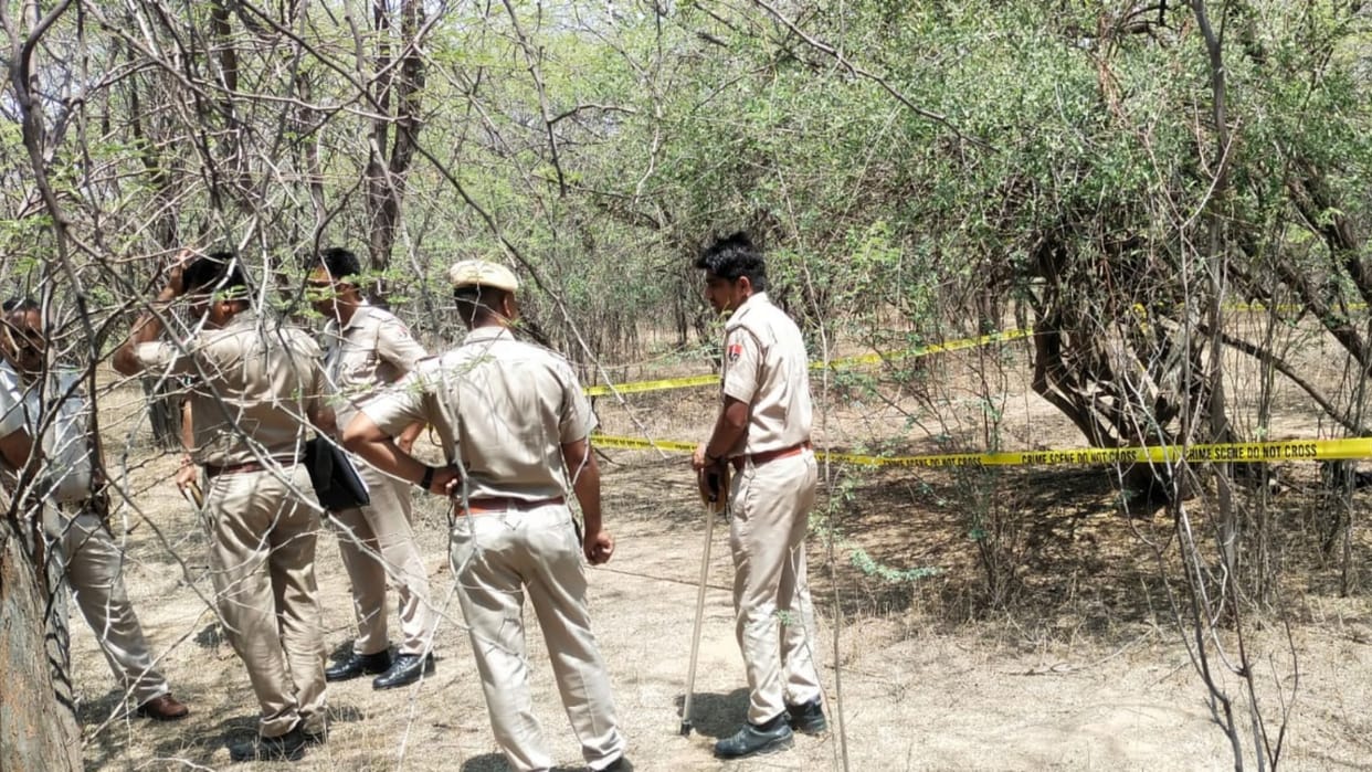Pali News dead body of brother and sister who went to graze goats was found in forest