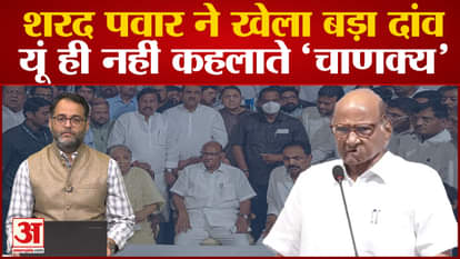 Sharad Pawar Resigns: Emotional or political step why Sharad Pawar is called 'Chanakya' of politics