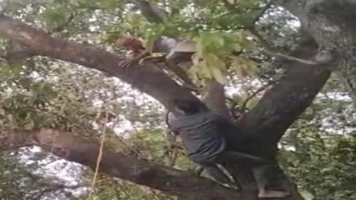 Bihar Crime 30 year old woman murdered in Muzaffarpur
