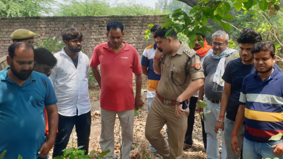 Cattle found dead near Gurukul located on Kasganj Road in Etah