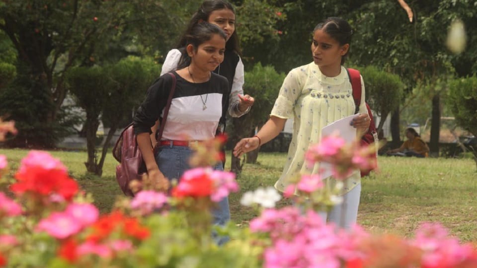 Jammu and Kashmir: Rain is blooming somewhere, chances of rain and snowfall again for three days