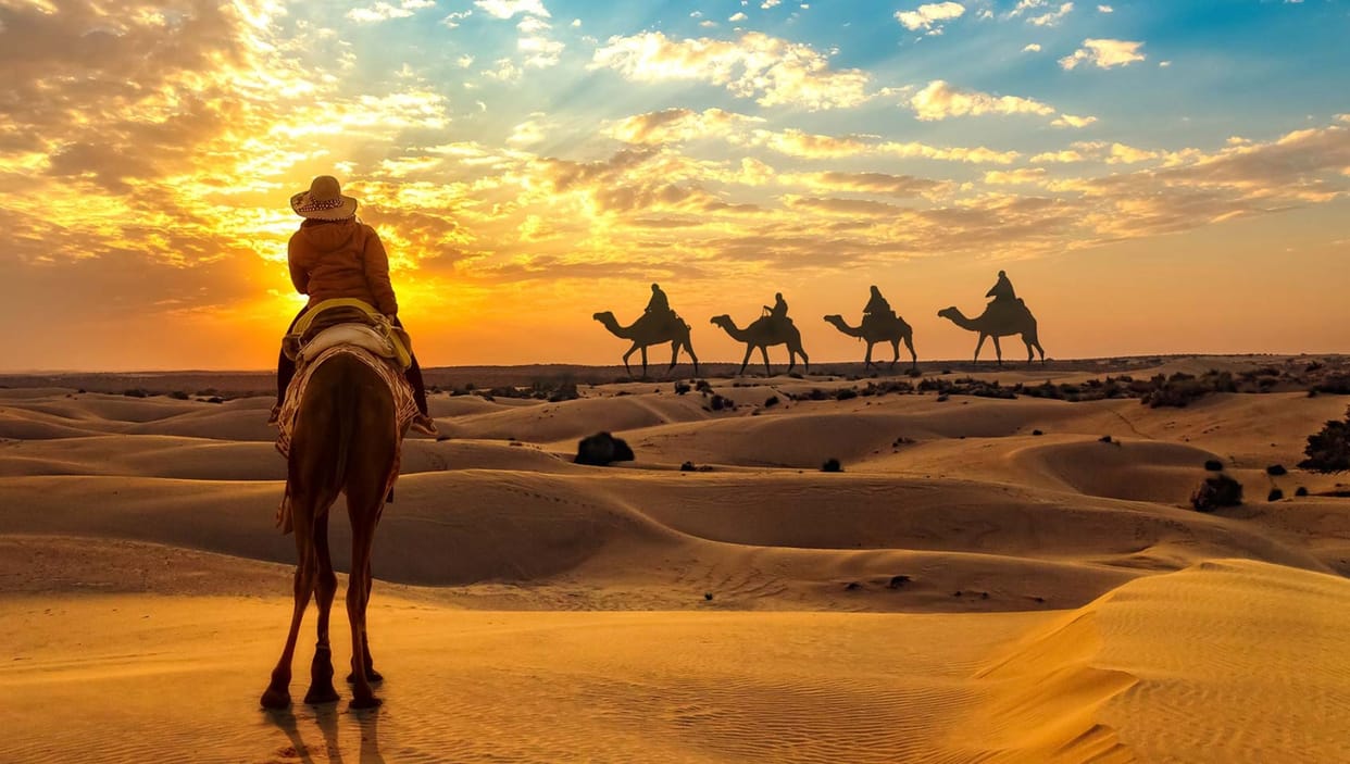 Counting of wildlife animals in Desert National Park postponed due to unseasonal rains in rajasthan
