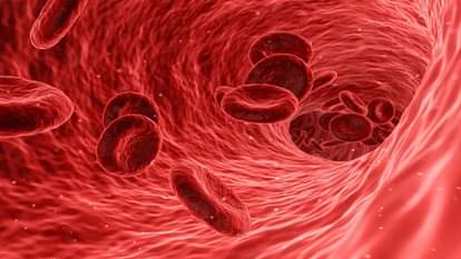 These Capsaicin and Nitric Oxide Rich Foods Can open blockage Increase Blood Flow And Circulation