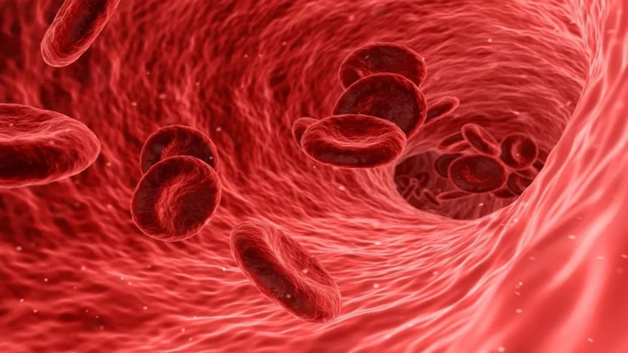 Micro RNA present in blood linked to mental health disorders