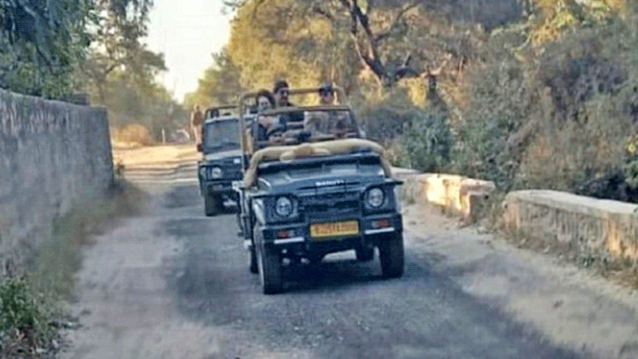 Priyanka Gandhi Vadra reached Sawai Madhopur to see Tiger in Ranthambore