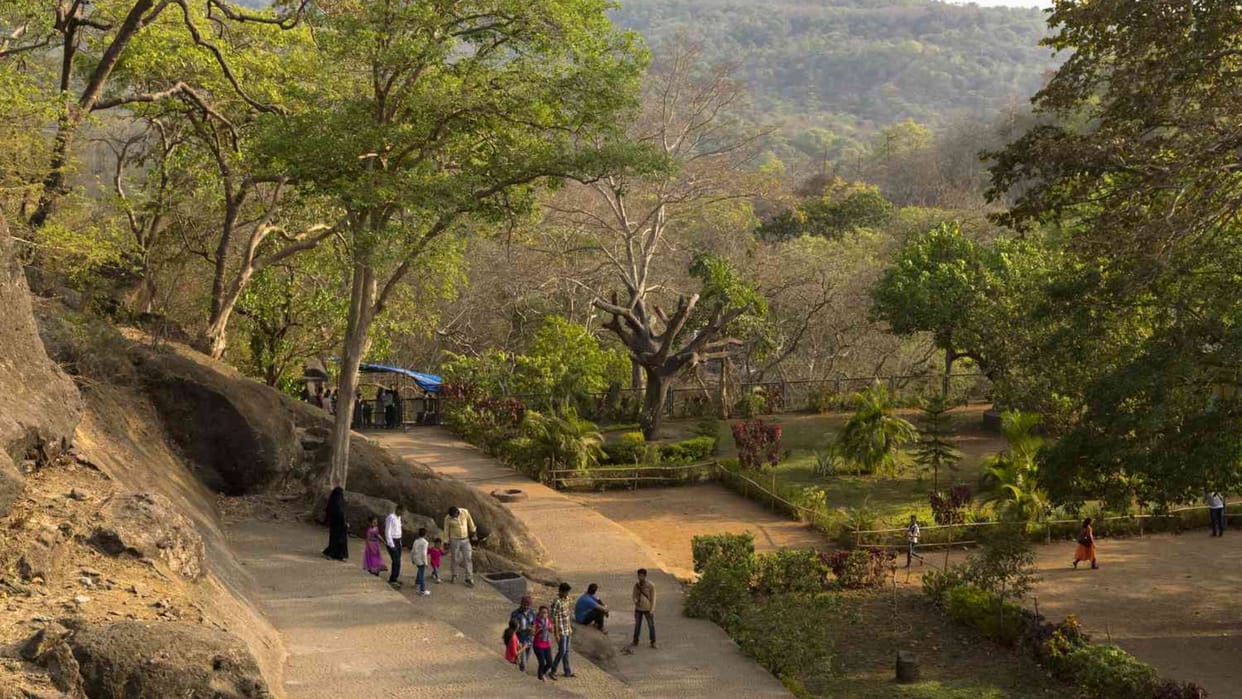 Maharashtra News Updates: Forest personnel assaulted in Sanjay Gandhi National Park