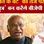 कर्नाटक विधानसभा चुनाव