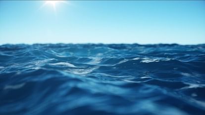 Water Storage: भारत में 34 अरब क्यूबिक मीटर जल भंडारण खत्म हो चुका है, केंद्रीय जल आयोग का दावा water storage of about 34 bn cubic metres already lost in India Official