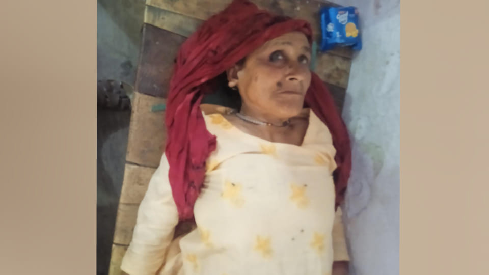 animal died while woman got scorched due to electrocution in Agra