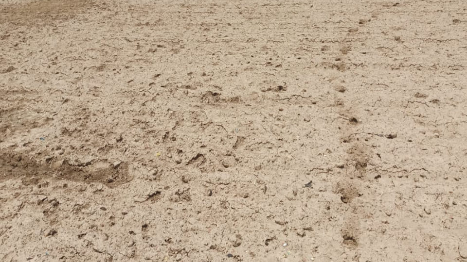 Due to excessive use of chemical fertilizers in Agra land is moving towards becoming barren