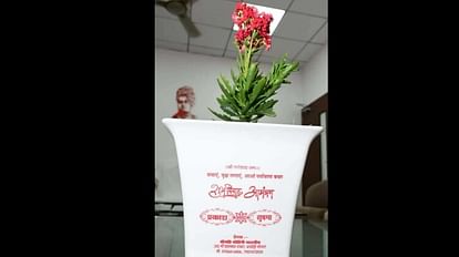 Bhopal News: शादी में पर्यावरण बचाने का संदेश, निमंत्रण पत्र की जगह दिए गमले वाले हरित कार्ड Bhopal News: Message of saving environment in marriage, green-cards with pots instead of cord