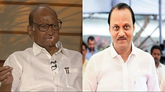 Elections 2024 Western Maharashtra Politics Solapur Sugar Industry Sharad Pawar Ajit Pawar and other candidate