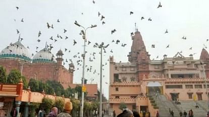 श्रीकृष्ण जन्मस्थान प्रकरण: आगरा की बेगम साहिबा मस्जिद की सीढ़ियों पर पुष्प चक्र की आकृति, फैसले का इंतजार Shri Krishna Janambhoomi Case Shape of flower circle on the steps of Begum Sahiba Mosque of Agra