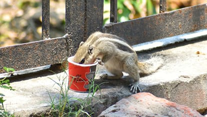 After 15 days, the mercury crossed 40, as soon as the beginning of the month of Jeth, the heat showed fierce