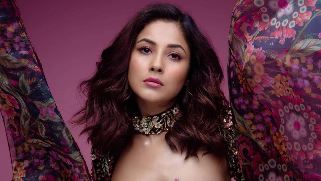 Desi Vibes with Shehnaaz Gill actress called Nawazuddin Siddiqui the God of acting instead of Salman Khan