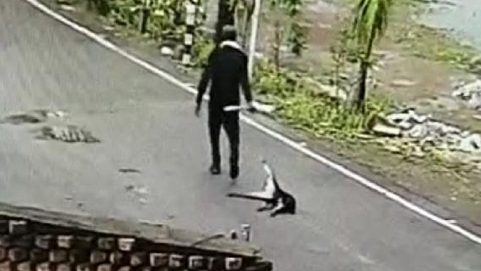 Security guard of Amar Heights in Durg dragging dog after tying legs by wire