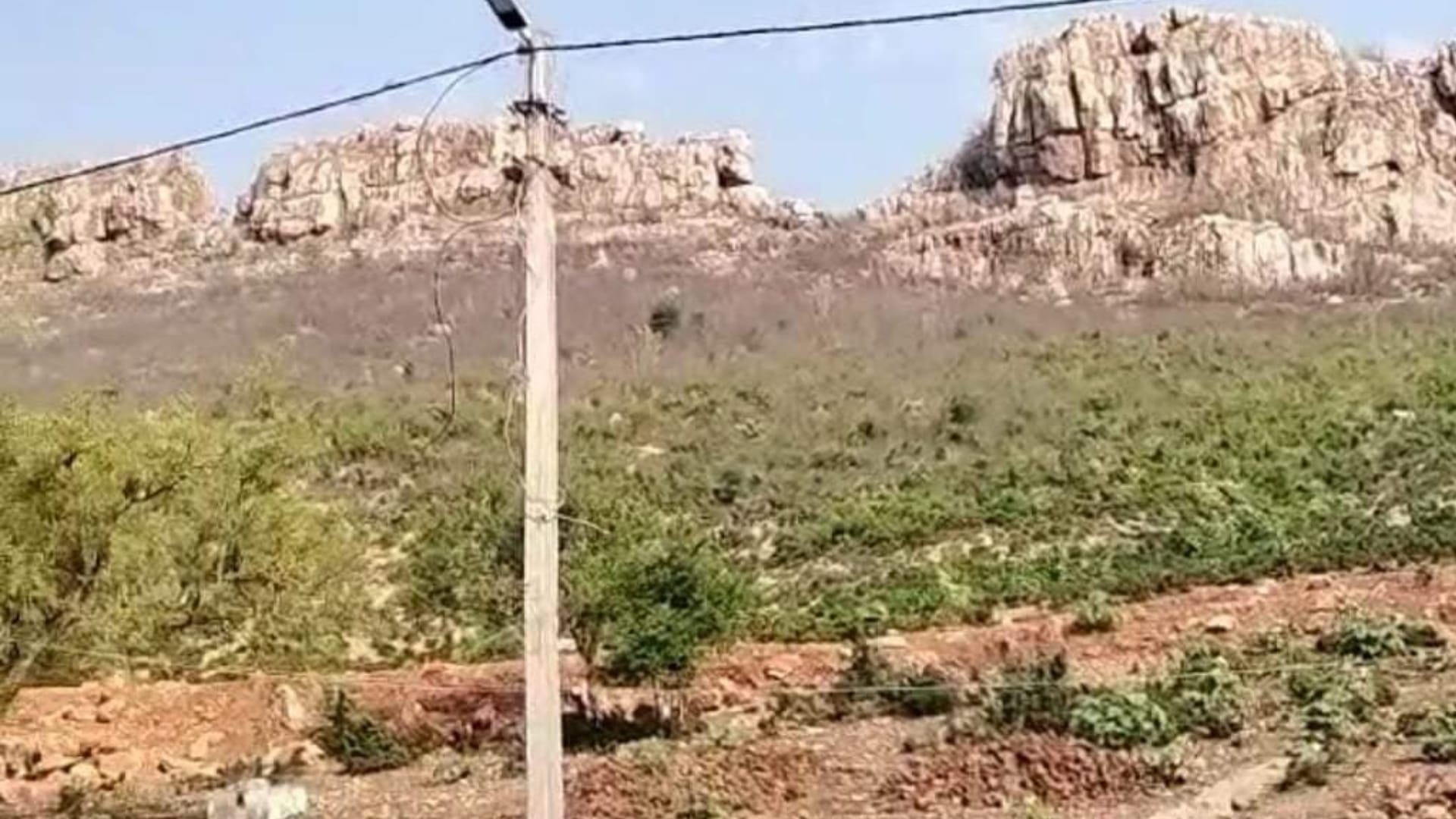 पहाड़ी पर मिली महिला की लाश