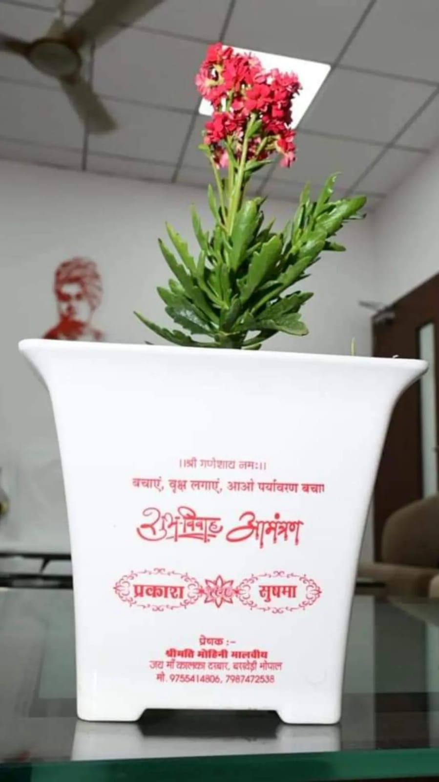 Bhopal News: Message of saving environment in marriage, green-cards with pots instead of cord