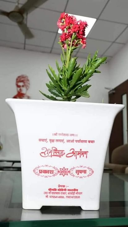 Bhopal News: Message of saving environment in marriage, green-cards with pots instead of cord