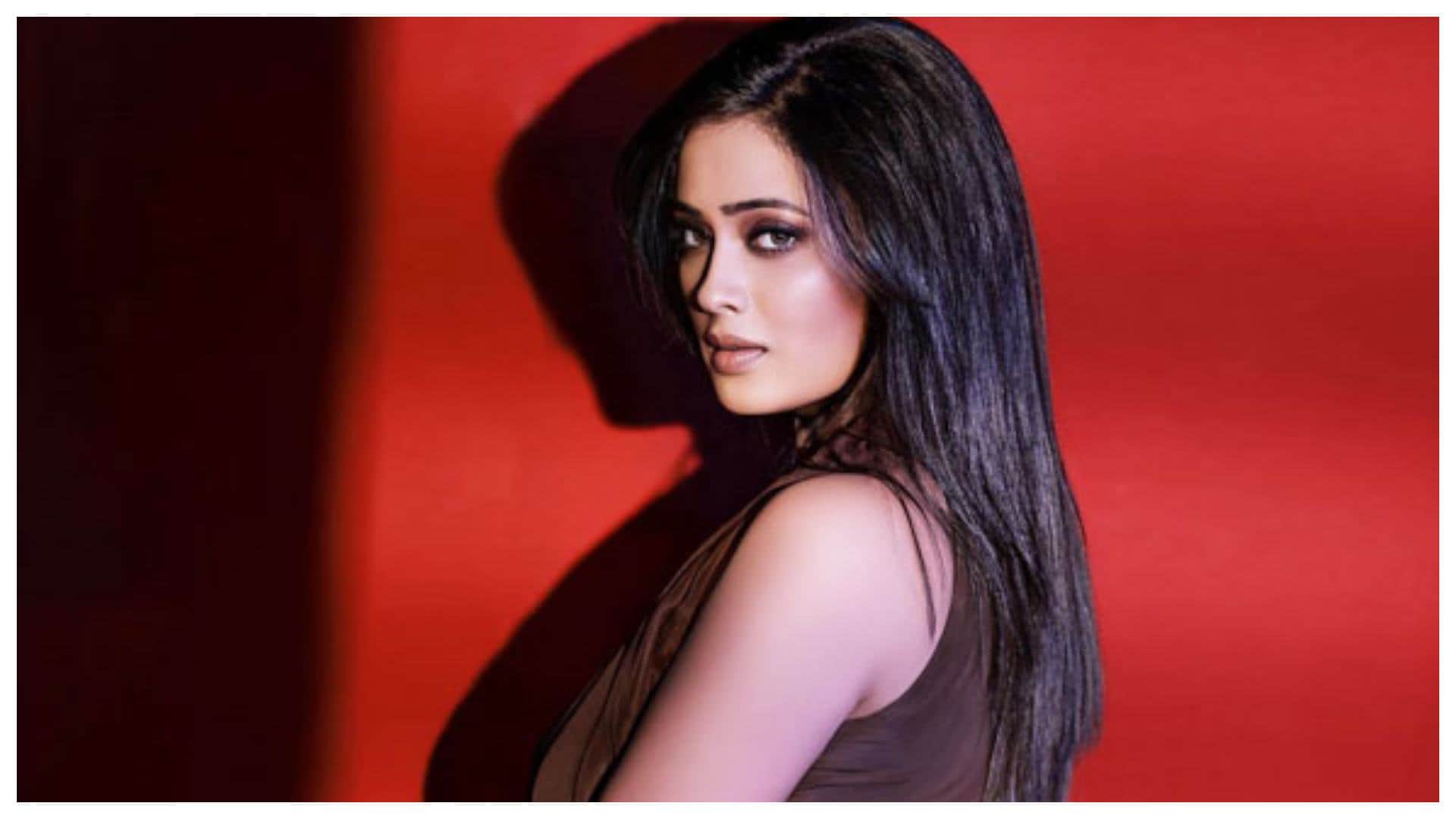 Indian Television Actress had Failed Second marriages Shweta Tiwari Sneha Wagh Deepshikha Nagpal