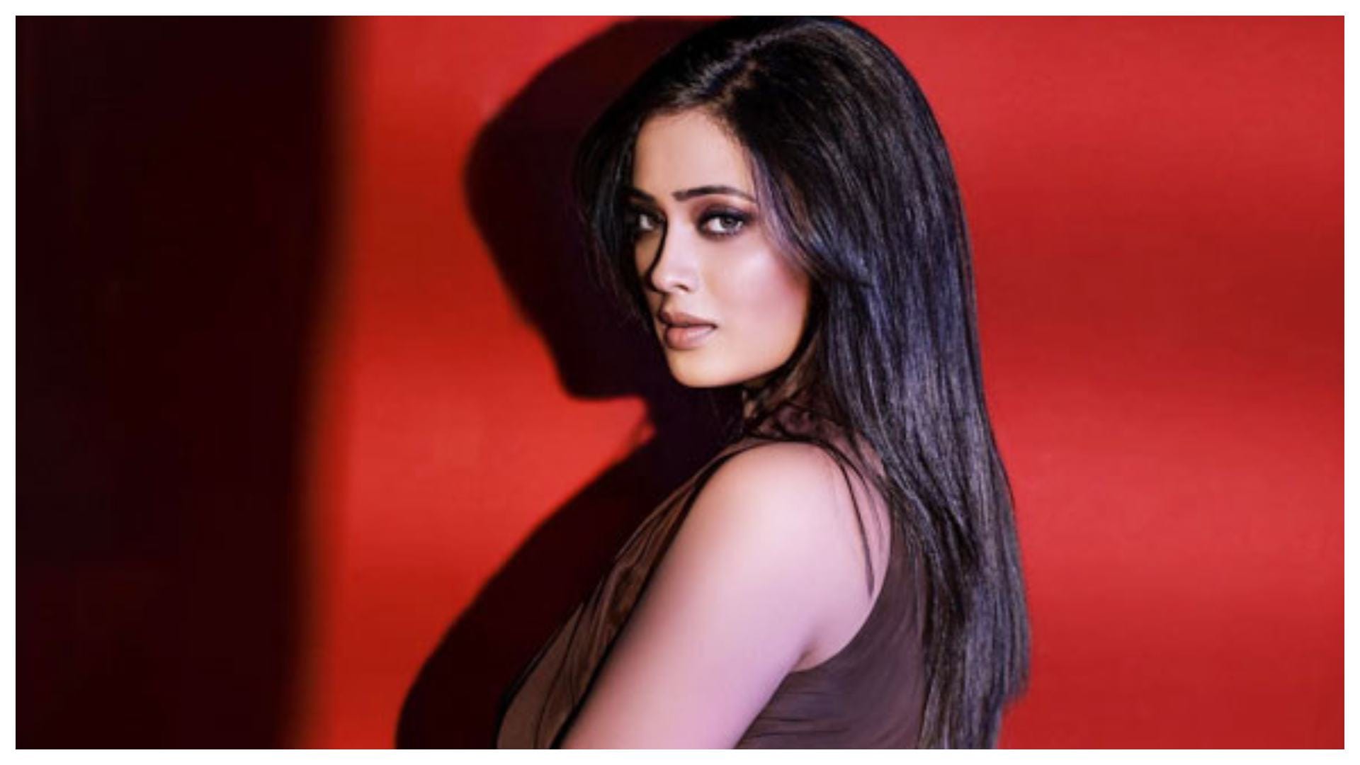 Indian Television Actress had Failed Second marriages Shweta Tiwari Sneha Wagh Deepshikha Nagpal
