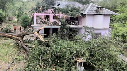 First unseasonal rain and hailstorm, now storm tormented the gardeners, 50 percent of the mango crop Ruined