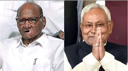 Politics: आम चुनाव में भाजपा को हराने के लिए विपक्षी एकता का हिस्सा बनेंगे पवार, जल्द नीतीश से करेंगे मुलाकात Will meet Bihar's chief minister Nitish Kumar during his Mumbai visit: sharad Pawar
